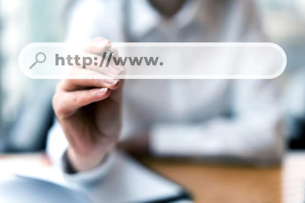 Domain Registration (.COM)